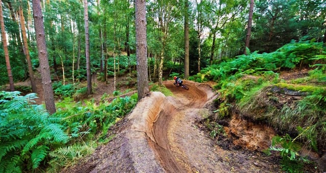 Image of woburn trails  anita hartley